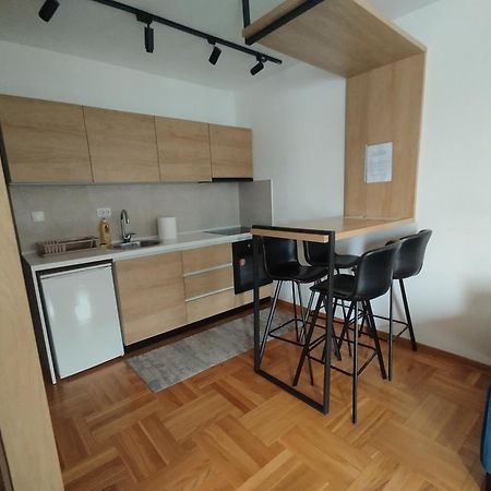 Cvetkovic Lux Аpartmani & Free Garaza Lägenhet Vrnjačka Banja Rum bild