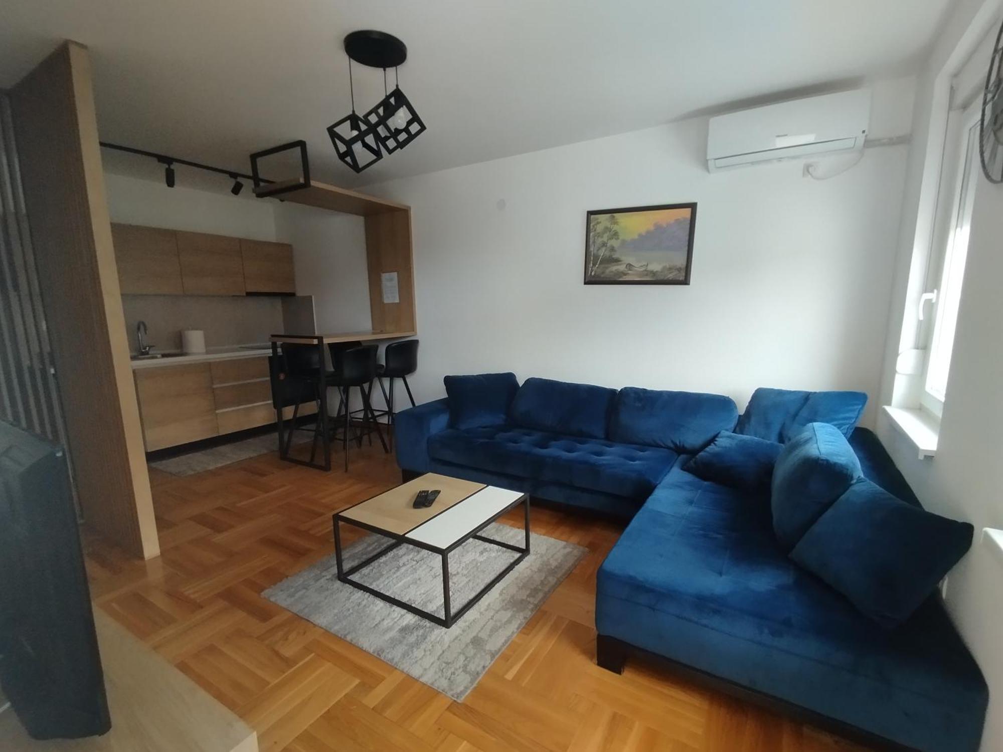 Cvetkovic Lux Аpartmani & Free Garaza Lägenhet Vrnjačka Banja Rum bild